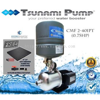Tsunami CMF2-40IPT Home Booster Pressure Water Pump (Stainless Steel, 0.75HP)