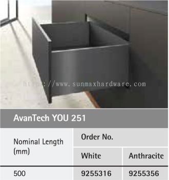 AvanTech You 251