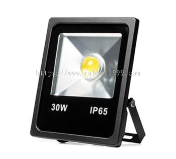 OSREN LED DETAILING LAMP - 30W