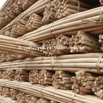 Rattan stick