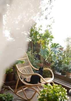 RATTAN ROCKING CHAIR