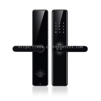 Orbita P8038 Smart Door Lock