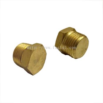 BSPT MALE PLUG BRASS