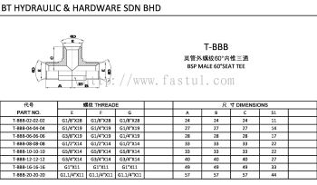 T-BBB BSP MALE 60掳SEAT TEE