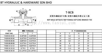 T-BCBBSP MALE 60掳SEAT/ BSP FEMALE 60掳CONE BRANCH  TEE