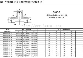 T-GGG JIC MALE 74掳CONE TEE