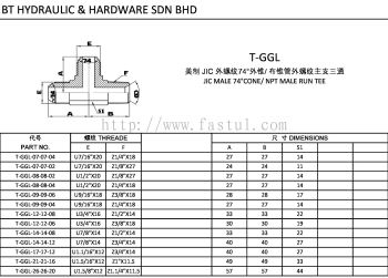 T-GGL JIC MALE 74掳CONE/ NPT MALE RUN TEE