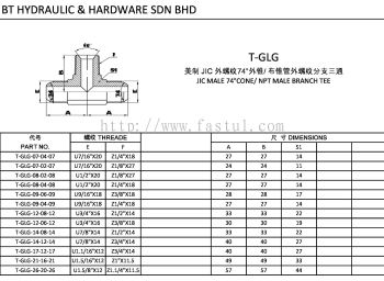 T-GLG JIC MALE 74掳CONE/ NPT MALE BRANCH TEE