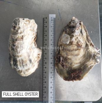 Full Shell Oyster