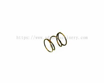 Check Valve Spring