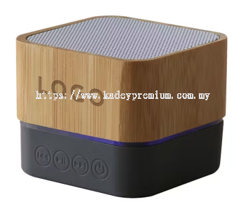 BAMBOO SPEAKER 01