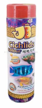 Cichlids Colour