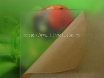 High Adhesive Masking Paper 高粘度保护纸