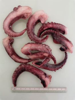 Cooked Squid Tentacles 
