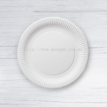 纸盘 Paper Plate