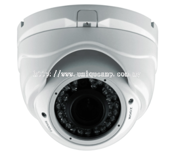 Vandalproof IR Dome Camera (D1080IR(V))