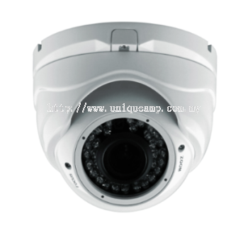 Vandal-proof IR Dome Camera (D1080IR(V))