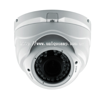 Vandalproof VF IR Dome Camera (D1080IR(V))