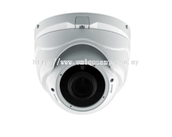 IP Dome Camera (DVIP-30IR(V)/DVIP-50IR(V))