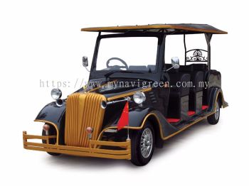 8 Electric Classic Buggy