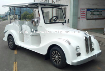 6 Electric Classic Buggy