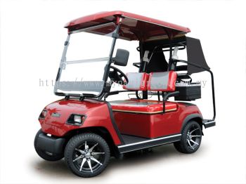 2-Seater Electric Buggy