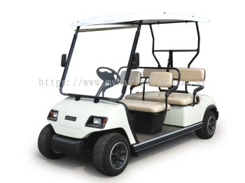 4-Seater Electric Buggy