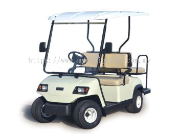 4-Seater Electric Buggy