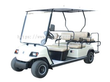 6-Seater Electric Buggy