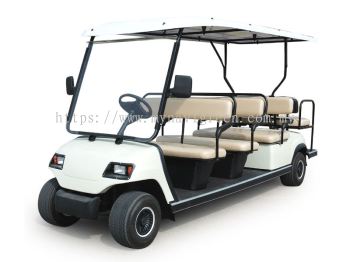 11-Seater Electric Buggy