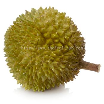 Malaysian MusangKing Durian
