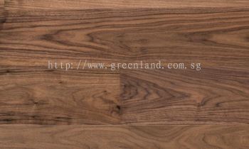 American Walnut