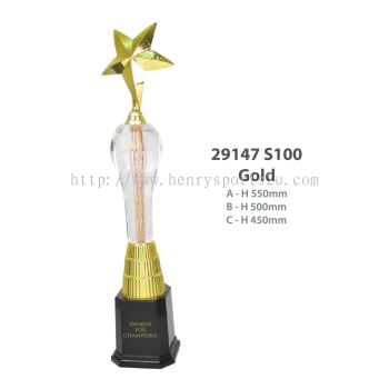 29147 Star Award Arylic Trophy