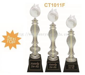 CT1011F Arcylic Trophy