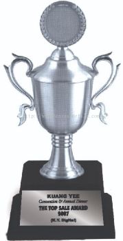 APA7204 Pewter Trophy with Handle