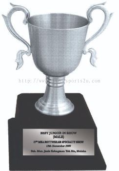 APA7205 Pewter Trophy with Handle