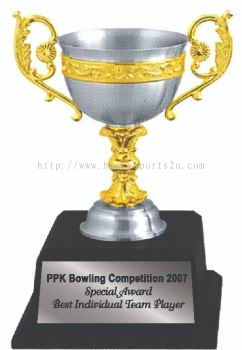 APA7208 Pewter Trophy with Handle