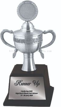 APA7312 Pewter Trophy with Handle