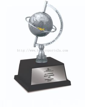 Globe Award Pewter Award