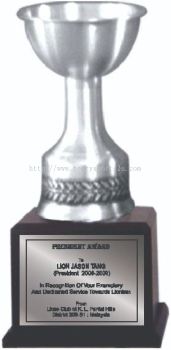 TP3012 Pewter Trophy