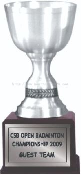 TP3013 Pewter Trophy