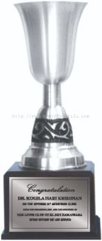 TP3014 Pewter Trophy