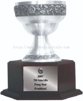 TP3031 Pewter Trophy