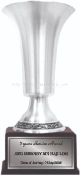 TP3032 Pewter Trophy