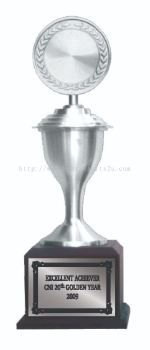 TP3046 Pewter Trophy