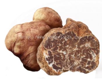 White Spring Truffle