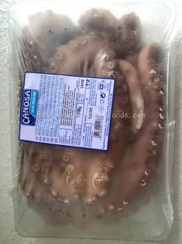 Frozen Raw Octopus Whole