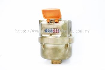 PSM Brass Water Meter