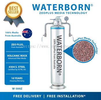 WATERBORN W-300Z Stainless Steel Master Filter Outdoor Filter with Australia Zeoplus Media (Warranty : Body Vessel - 10 Years, MPV & Accessory - 1 Year)