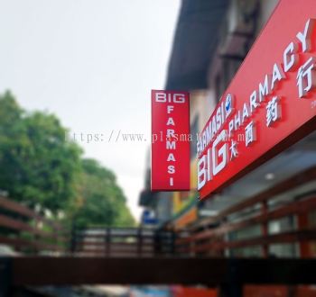 Big Pharmacy 3D Box-Up Signboard